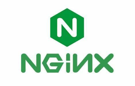 自定义nginx网站日志格式