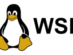 解决WSL不能访问主机网络，WSL增加代理访问